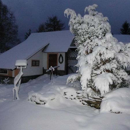 U Votapku Apartment Nove Hute Exterior foto